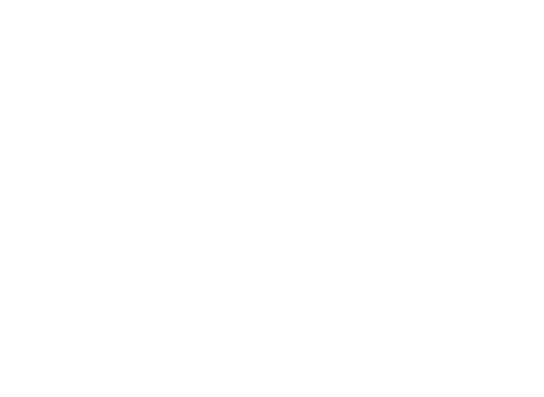 Rebel Capitalist